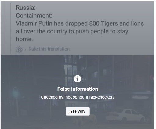 putin tigers and lions