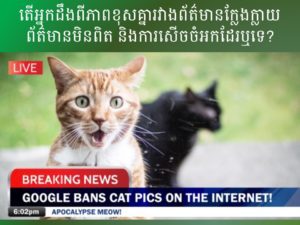 a cat looking surpried because google is banning cat pics on the internet - an example of false information